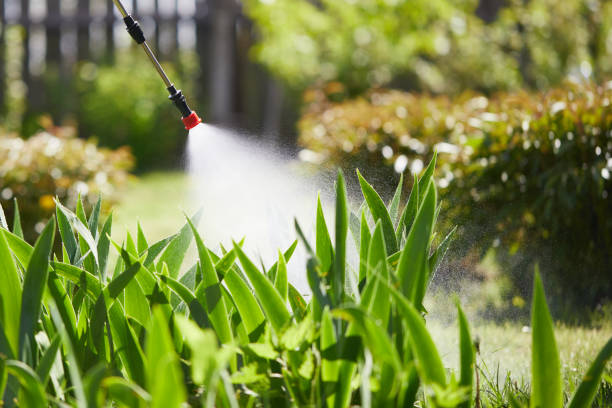 24/7 Emergency Termite Control experts in Irmo, SC