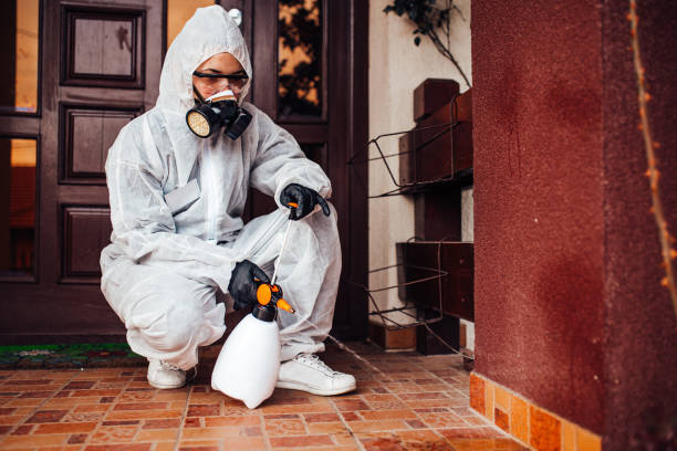 Reliable Termite Control contractor in Irmo, SC by Nex Pest Control